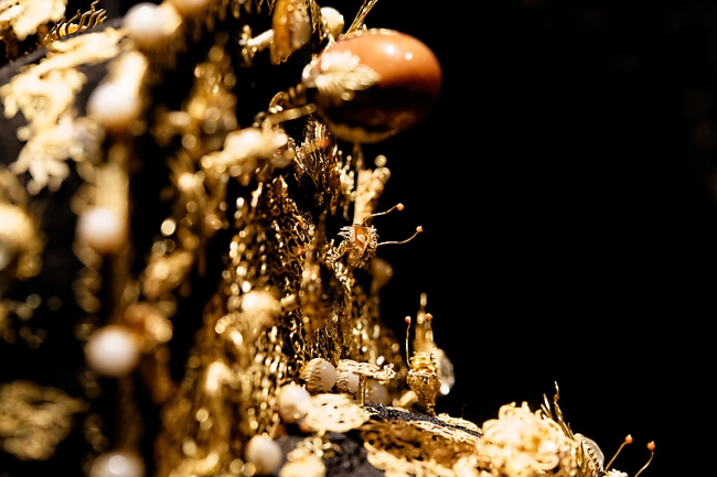 L'envol du dragon-078